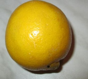 citrón kôroka