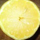 citrón pre zdravie
