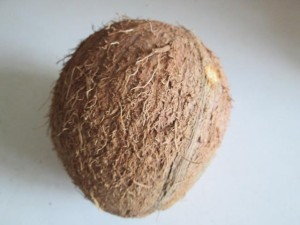 kokos potravina strava bio
