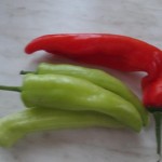 Prírodné spalovače tukov – Jesť chilli je zdravé podporuje totiž chudnutie