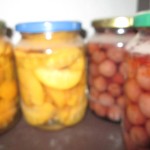 Kompóty, džemy, sušenie a mrazenie ovocia