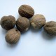 muškátovy orech oriesok pre zdravie