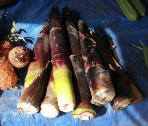 bambusové výhonky pre zdravie recepty